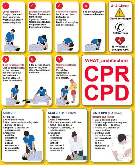 csphr review|CPR Steps .